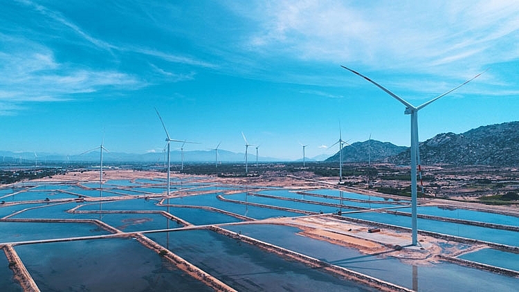 International news on Vietnam s largest salt and renewable energy economic complex